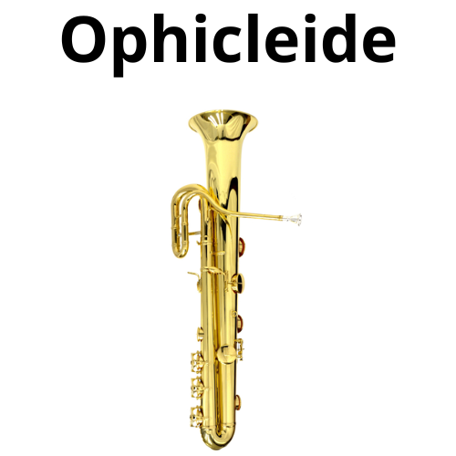 shop Brass and Woodwind Instruments 