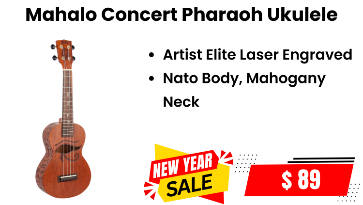 25-Christmas-sale-jlm-29