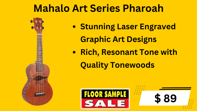 Floor sample sale guitar-18