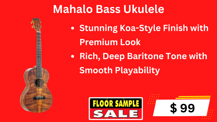 Floor sample sale guitar-19