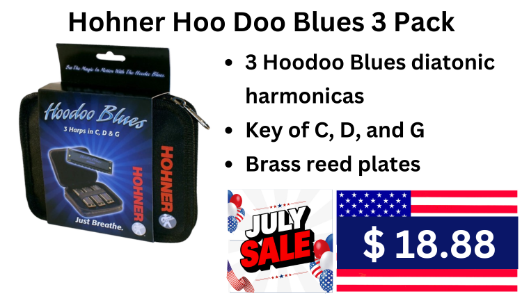 Autoharp, Harmonicas & Recorders-2